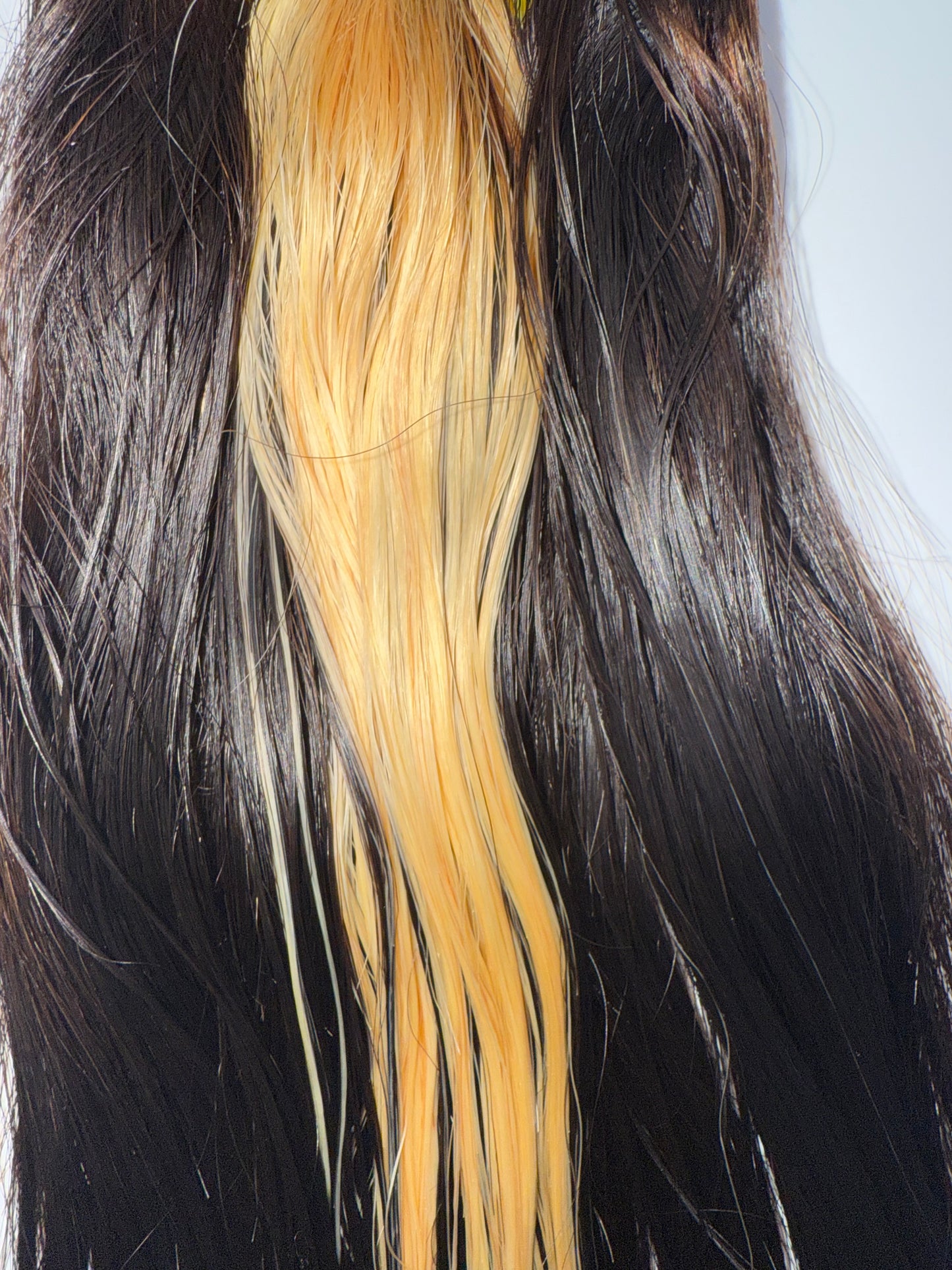 Indian Raw Hair Vendor